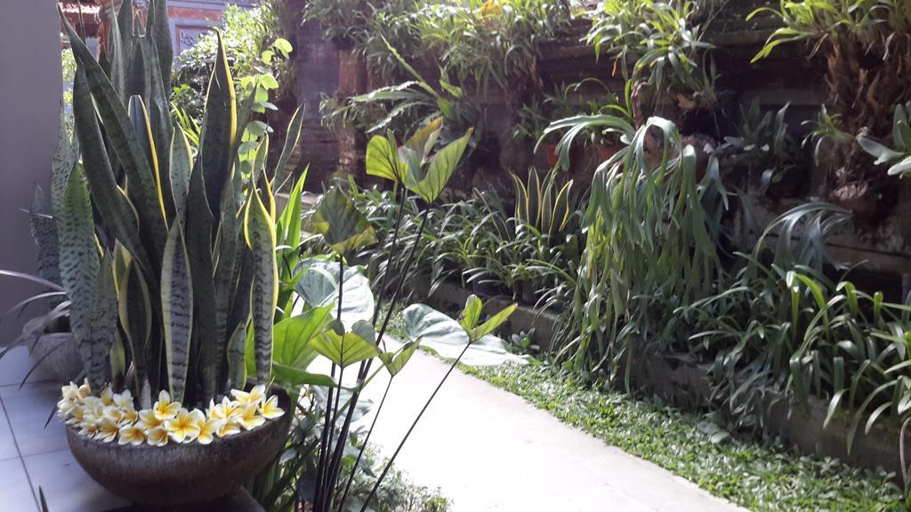 Dono Guest House Ubud  Exterior photo